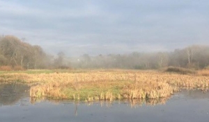 PA Turnpike Wetlands Mitigation Photo